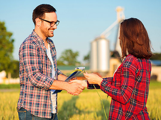Mann und Frau geben sich vor Weizenfeld die Hand.