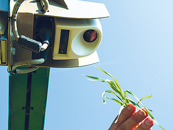 Eine Hand hält eine junge Weizenpflanze unter Green Seeker Stickstoffsensor.