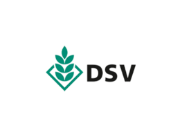 Logo DSV