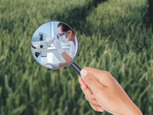 Get your plant analysis kit now!